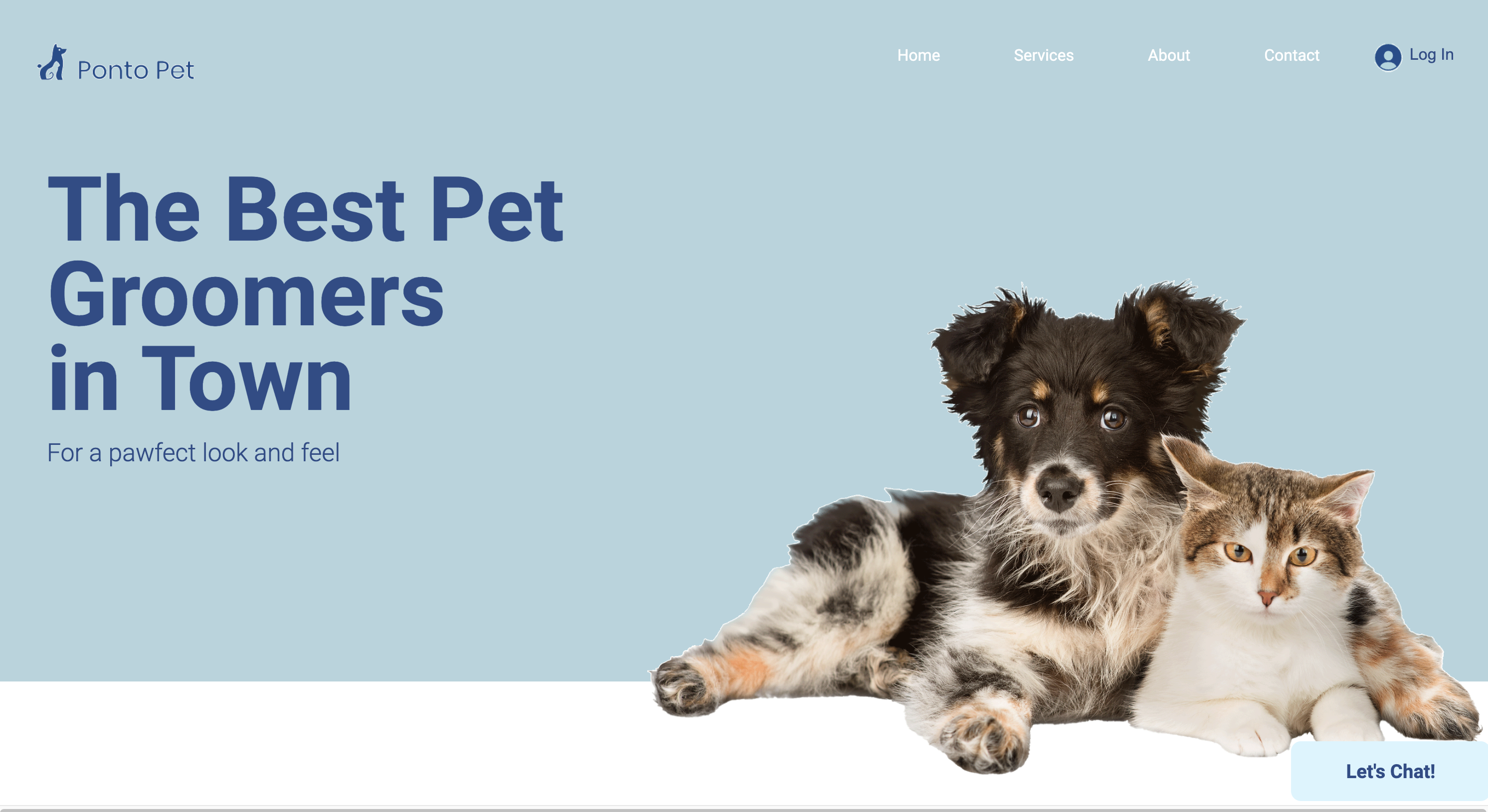 Ponto Pet website